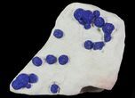 Brilliant Blue Azurite Sun Cluster On Rock - Australia #64287-1